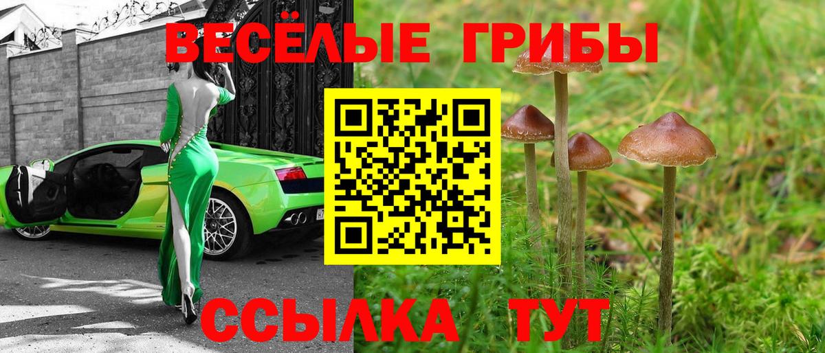 Псилоцибиновые грибы GOLDEN TEACHER Дзержинский